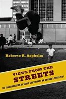 Vues des rues : La transformation des gangs et de la violence dans les quartiers sud de Chicago - Views from the Streets: The Transformation of Gangs and Violence on Chicago's South Side