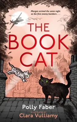 Le chat des livres - The Book Cat