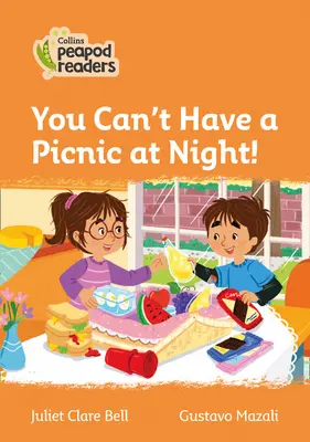 Niveau 4 - On ne peut pas faire de pique-nique la nuit ! - Level 4 - You Can't Have a Picnic at Night!