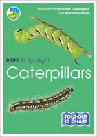 La RSPB ID Spotlight - Caterpillars (en anglais) - RSPB ID Spotlight - Caterpillars