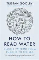 Comment lire l'eau - Indices et motifs des flaques d'eau à la mer - How To Read Water - Clues & Patterns from Puddles to the Sea