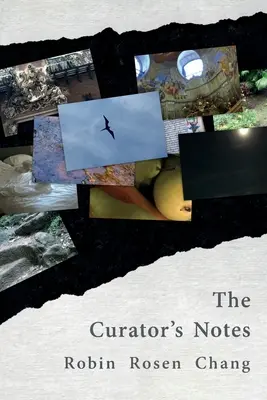 Les notes du conservateur - The Curator's Notes