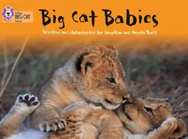 Les bébés des grands félins - Big Cat Babies