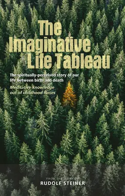 Le tableau de la vie imaginative : L'histoire de notre vie perçue spirituellement entre la naissance et la mort : La connaissance méditative des forces de l'enfance - The Imaginative Life Tableau: The Spiritually Perceived Story of Our Life Between Birth and Death: Meditative Knowledge Out of Childhood Forces