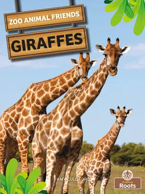 Girafes - Giraffes