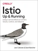 Istio : En marche : Utiliser un maillage de services pour se connecter, sécuriser, contrôler et observer - Istio: Up and Running: Using a Service Mesh to Connect, Secure, Control, and Observe