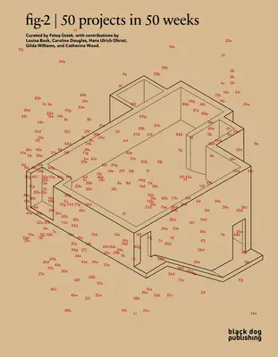 Fig-2 : 50 projets en 50 semaines - Fig-2: 50 Projects in 50 Weeks