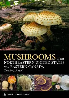 Champignons du nord-est des États-Unis et de l'est du Canada - Mushrooms of the Northeastern United States and Eastern Canada