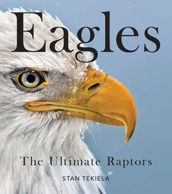 Aigles à tête blanche : Les rapaces ultimes - Bald Eagles: The Ultimate Raptors