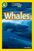 Baleines - Niveau 4 - Whales - Level 4