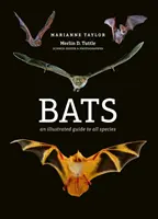 Chauves-souris - Guide illustré de toutes les espèces - Bats - An illustrated guide to all species