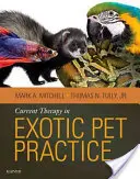 Thérapie actuelle dans la pratique des animaux de compagnie exotiques - Current Therapy in Exotic Pet Practice