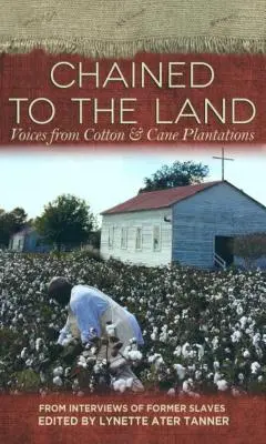 Enchaînés à la terre : Les voix des plantations de coton et de canne à sucre - Chained to the Land: Voices from Cotton & Cane Plantations