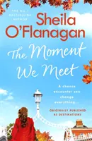 The Moment We Meet : Stories of Love, Hope and Chance Encounters by the No. 1 Bestselling Author (Le moment où nous nous rencontrons : histoires d'amour, d'espoir et de rencontres fortuites par l'auteur numéro 1 des best-sellers) - The Moment We Meet: Stories of Love, Hope and Chance Encounters by the No. 1 Bestselling Author