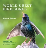 Les meilleurs chants d'oiseaux du monde - World's Best Bird Songs