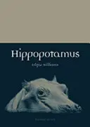 Hippopotame - Hippopotamus