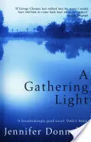 Rassembler la lumière - Gathering Light