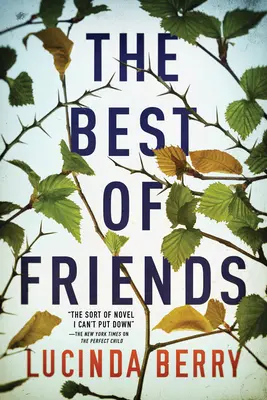 Le meilleur des amis - The Best of Friends