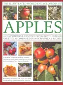 L'encyclopédie mondiale illustrée des pommes : Un guide d'identification complet de plus de 400 variétés, accompagné de 60 recettes succulentes. - The Illustrated World Encyclopedia of Apples: A Comprehensive Identification Guide to Over 400 Varieties Accompanied by 60 Scrumptious Recipes