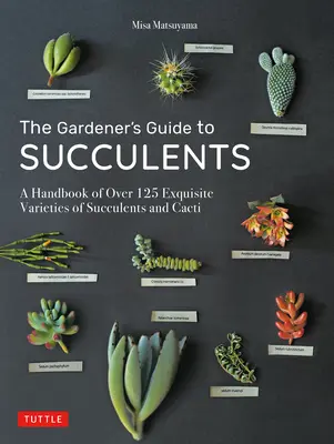 Le guide des plantes succulentes du jardinier : Un manuel de plus de 125 variétés exquises de succulentes et de cactus - The Gardener's Guide to Succulents: A Handbook of Over 125 Exquisite Varieties of Succulents and Cacti