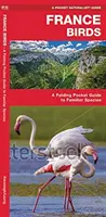 France Birds - A Folding Pocket Guide to Familiar Species (en anglais) - France Birds - A Folding Pocket Guide to Familiar Species