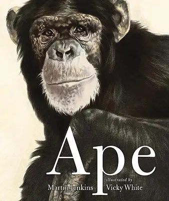 Singe - Ape