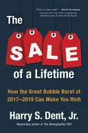 La vente d'une vie : Comment l'éclatement de la bulle de 2017-2019 peut vous rendre riche - The Sale of a Lifetime: How the Great Bubble Burst of 2017-2019 Can Make You Rich