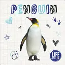 Pingouin - Penguin