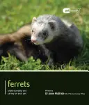 Furets - Ferrets