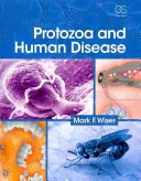 Protozoaires et maladies humaines - Protozoa and Human Disease