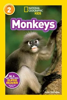 Singes - Monkeys