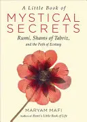 Un petit livre de secrets mystiques : Rumi, Shams de Tabriz et le chemin de l'extase - A Little Book of Mystical Secrets: Rumi, Shams of Tabriz, and the Path of Ecstasy