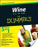 Le vin tout-en-un pour les nuls - Wine All-In-One for Dummies