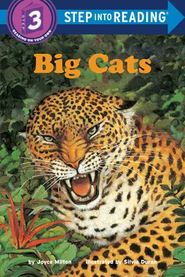 Les grands chats - Big Cats