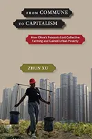 De la commune au capitalisme : comment les paysans chinois ont perdu l'agriculture collective et gagné la pauvreté urbaine - From Commune to Capitalism: How China's Peasants Lost Collective Farming and Gained Urban Poverty