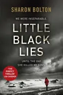 Petits mensonges noirs - Little Black Lies