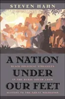 Une nation sous nos pieds : les luttes politiques des Noirs dans le Sud rural, de l'esclavage à la grande migration - A Nation Under Our Feet: Black Political Struggles in the Rural South from Slavery to the Great Migration