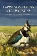 Vanneaux, plongeons et coqs de bruyère - Lapwings, Loons and Lousy Jacks