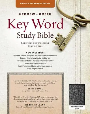 Bible d'étude des mots clés hébreux et grecs - ESV : Aperçus clés de la Parole de Dieu - Hebrew-Greek Key Word Study Bible-ESV: Key Insights Into God's Word