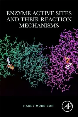 Sites actifs des enzymes et leurs mécanismes de réaction - Enzyme Active Sites and Their Reaction Mechanisms