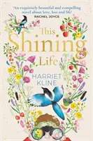 This Shining Life - un roman puissant sur la préservation de la vie - This Shining Life - a powerful novel about treasuring life