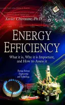 L'efficacité énergétique - Ce que c'est, pourquoi c'est important et comment l'évaluer - Energy Efficiency - What it is, Why it is Important, and How to Assess it