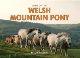 Esprit du poney de montagne gallois - Spirit of the Welsh Mountain Pony