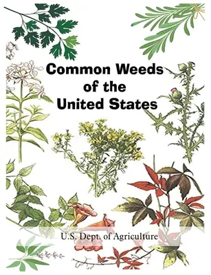 Mauvaises herbes communes des États-Unis - Common Weeds of the United States