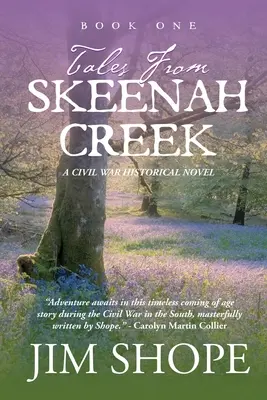 Tales From Skeenah Creek : Un roman de fiction historique sur la guerre civile - Tales From Skeenah Creek: A Civil War Historical Fiction Novel