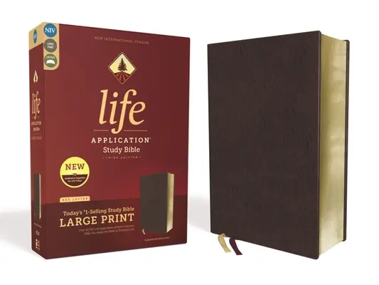 Niv, Bible d'étude Life Application, troisième édition, gros caractères, cuir collé, bourgogne, édition en lettres rouges - Niv, Life Application Study Bible, Third Edition, Large Print, Bonded Leather, Burgundy, Red Letter Edition