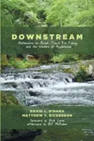 En aval - Downstream