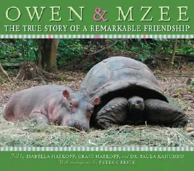 Owen et Mzee : l'histoire vraie d'une amitié remarquable - Owen and Mzee: The True Story of a Remarkable Friendship