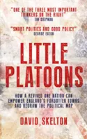 Little Platoons - Comment la renaissance de One Nation peut donner du pouvoir aux villes oubliées d'Angleterre et redessiner la carte politique - Little Platoons - How a revived One Nation can empower England's forgotten towns and redraw the political map