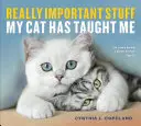 Des choses très importantes que mon chat m'a apprises - Really Important Stuff My Cat Has Taught Me